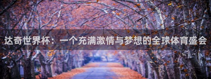 世界杯预选赛欧洲：达奇世界杯：一个充满激情与梦想的全球体育盛会