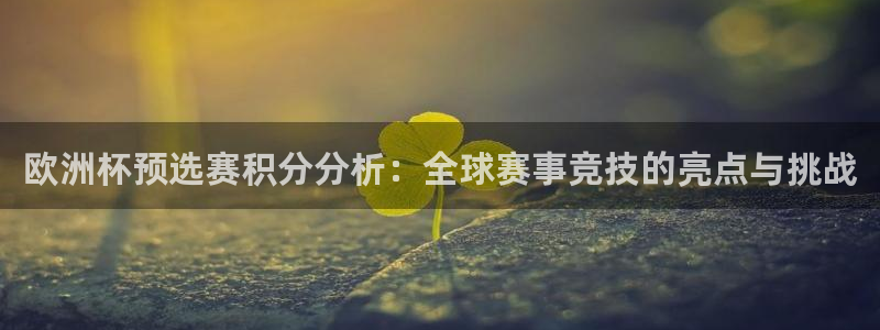 2026世预赛赛程表：欧洲杯预选赛积分分析：全球赛事竞技的亮点与挑战