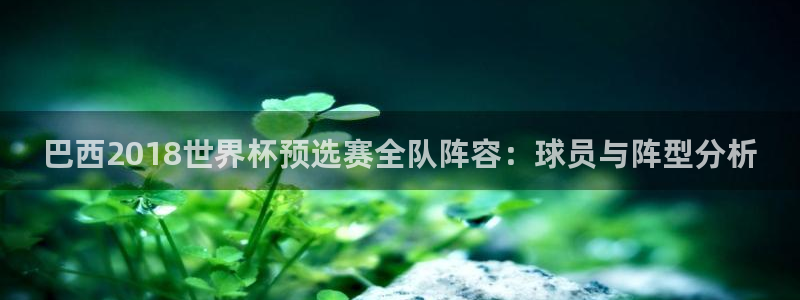 2026年世界杯对阵图：巴西2018世界杯预选赛全队阵容：球员与阵型分析