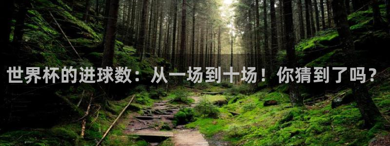 世界杯直播在线观看入口：世界杯的进球数：从一场到十场！你猜到了吗？