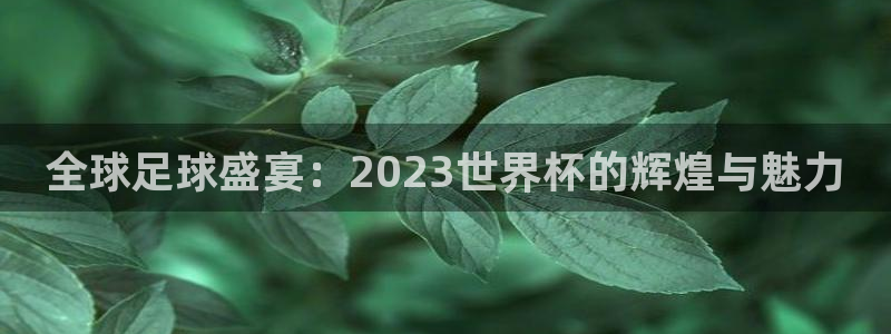 西超杯直播：全球足球盛宴：2023世界杯的辉煌与魅力