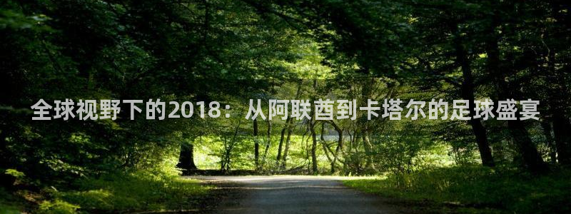 足球杯：全球视野下的2018：从阿联酋到卡塔尔的足球盛宴