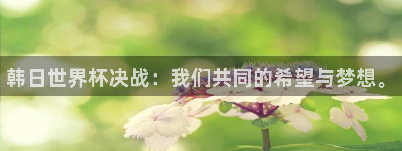 2026 世界杯：韩日世界杯决战：我们共同的希望与梦想。