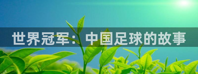 欧联杯直播：世界冠军：中国足球的故事