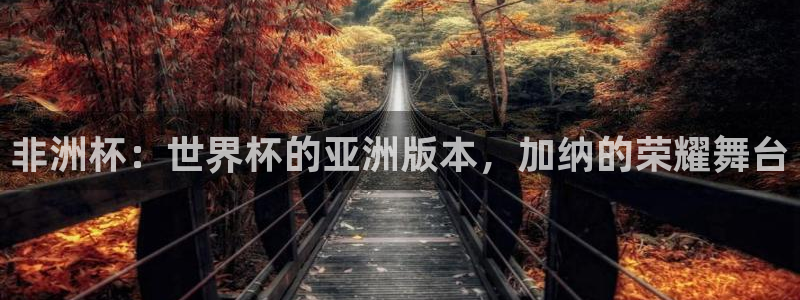 葡萄牙世界杯赛程：非洲杯：世界杯的亚洲版本，加纳的荣耀舞台