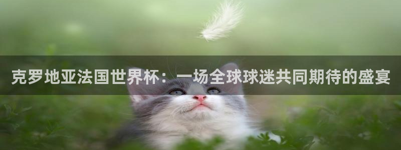 2026世界杯直播：克罗地亚法国世界杯：一场全球球迷共同期待的盛宴
