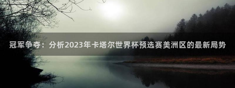 2026年世界杯：冠军争夺：分析2023年卡塔尔世界杯预选赛美洲区的最新局势