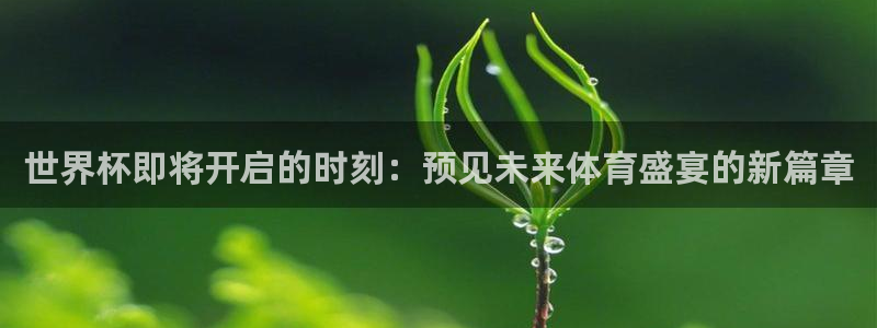 世界杯直播网站：世界杯即将开启的时刻：预见未来体育盛宴的新篇章