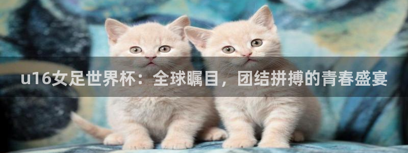 2026男足世界杯赛程：u16女足世界杯：全球瞩目，团结拼搏的青春盛宴