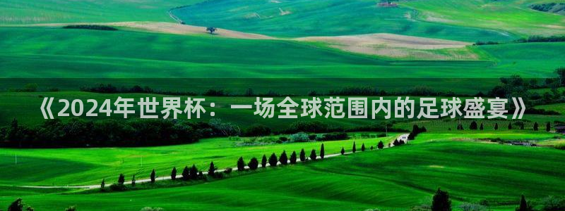 美国世界杯：《2024年世界杯：一场全球范围内的足球盛宴》